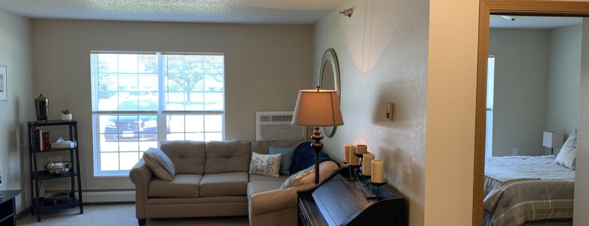 sand prairie - apartment interior: living room with large windows