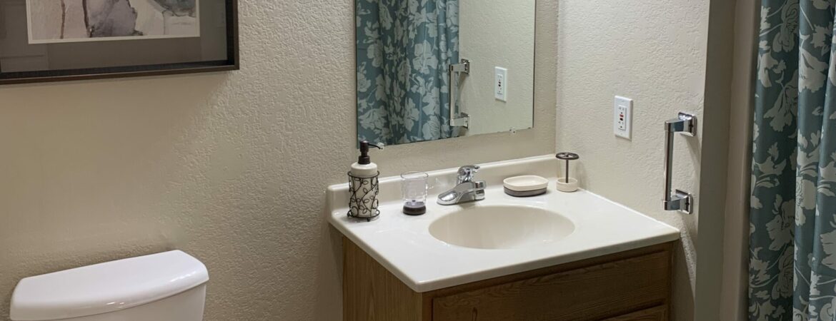 sand prairie - apartment interior: bathroom